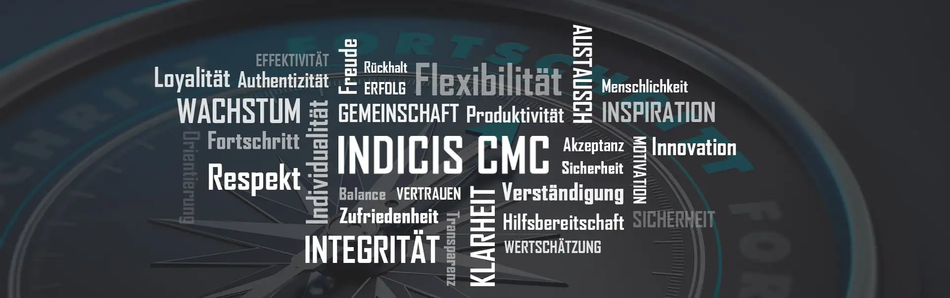 INDICIS CMC Wortwolke